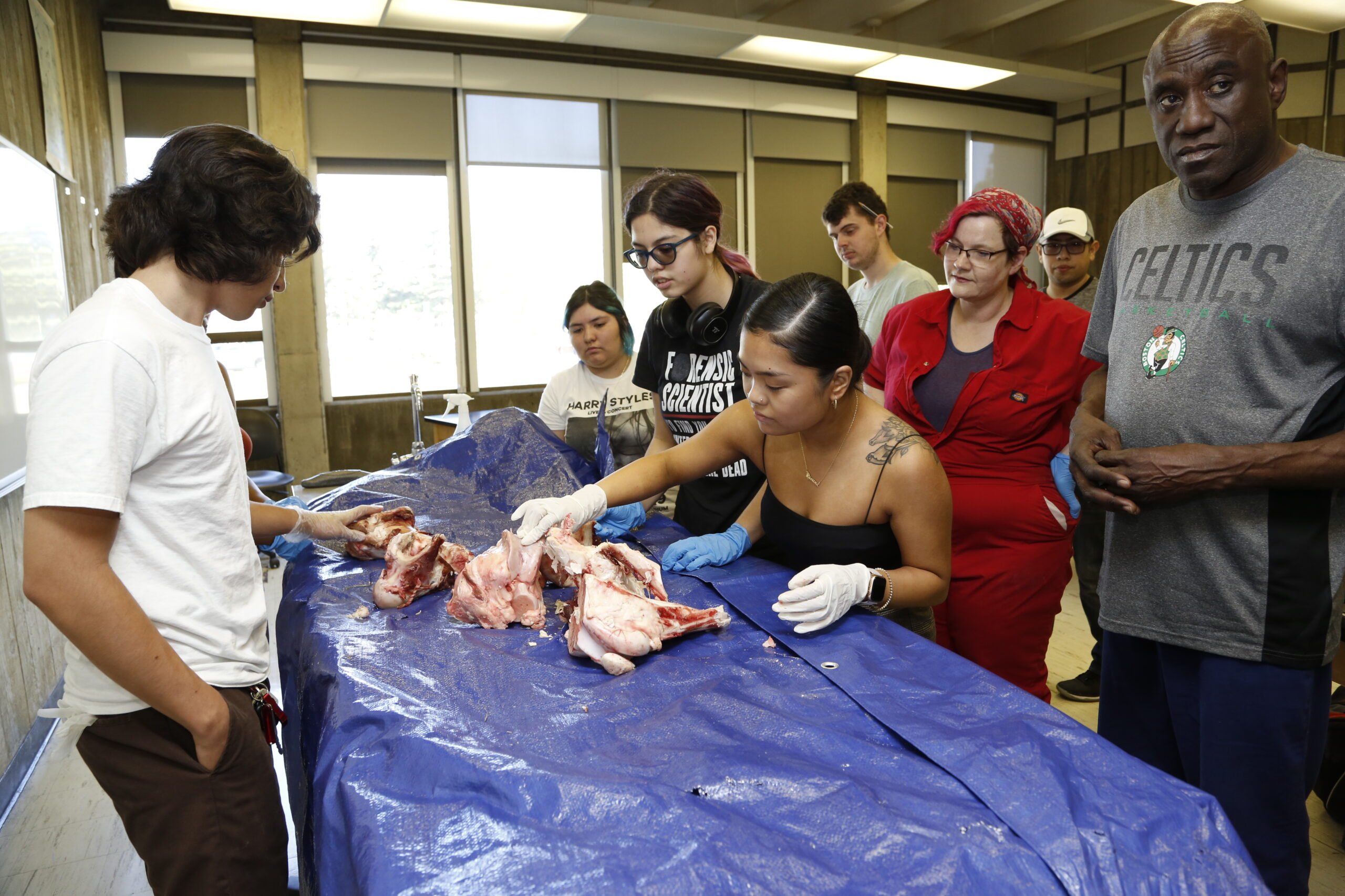 CoA Culture and Society Banner