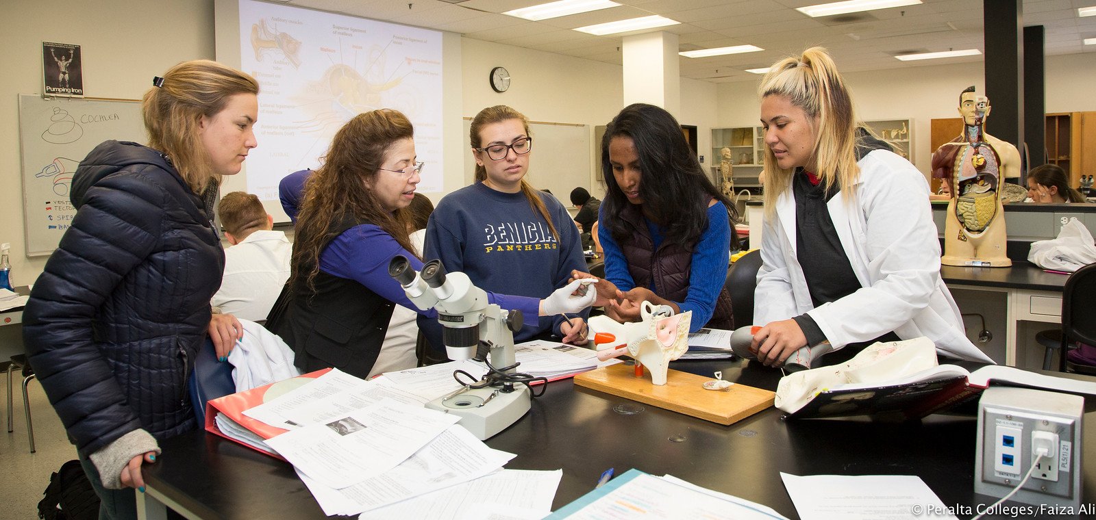 CoA Health Science and Technology Banner