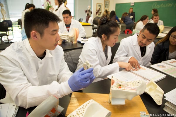 Anatomy Group work_O5A7041