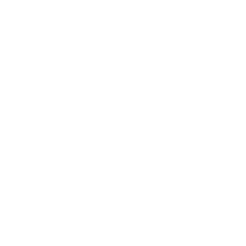 peralta logo white