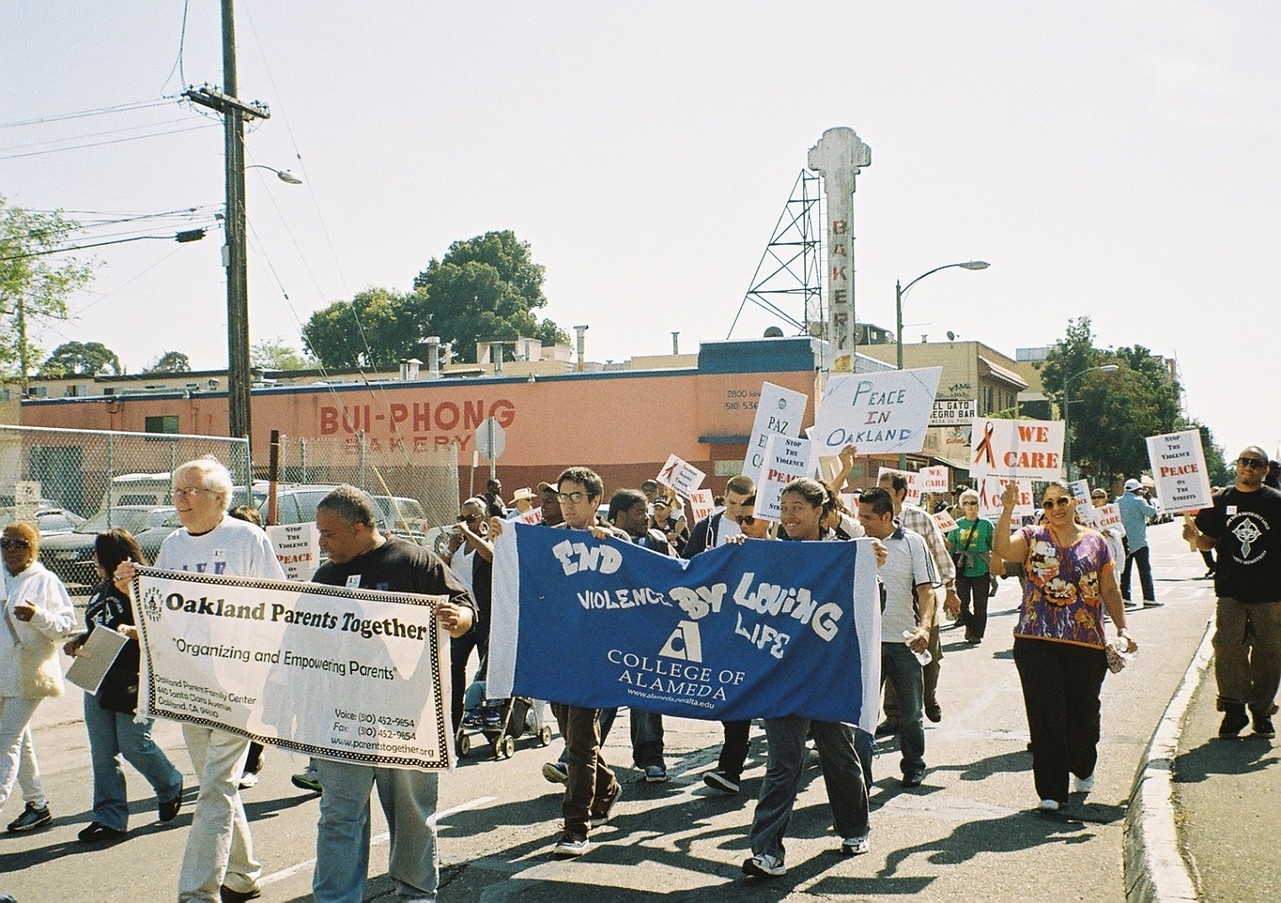 CoA Political Science